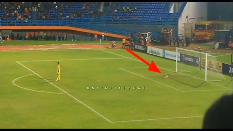 Seekor kucing tiba-tiba masuk ke lapangan pertandingan antara Borneo FC vs Persela. Copyright: Youtube/Unlimitedzone